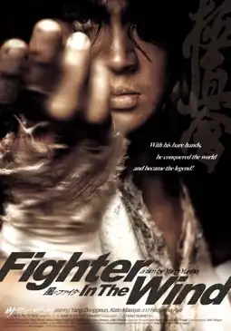 Watch and Download Fighter in the Wind 8