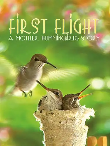 Watch and Download First Flight: A Mother Hummingbird's Story 2