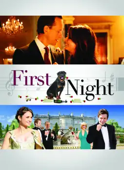 Watch and Download First Night 6