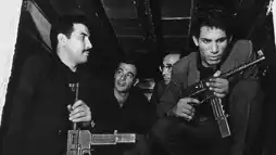 Watch and Download Five Directors On The Battle of Algiers 2