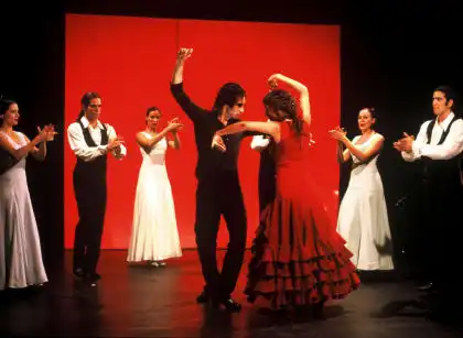 Watch and Download Flamenco der Liebe 4