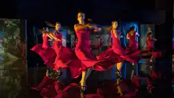 Watch and Download Flamenco Flamenco 3