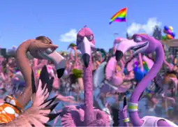 Watch and Download Flamingo Pride 3