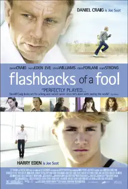 Watch and Download Flashbacks of a Fool 11