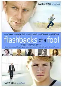 Watch and Download Flashbacks of a Fool 13