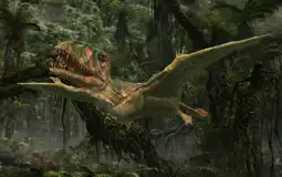 Watch and Download Flying Monsters 3D with David Attenborough 6