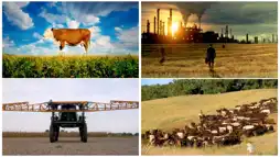 Watch and Download Food, Inc. 2