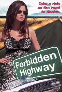 Watch and Download Forbidden Highway 5