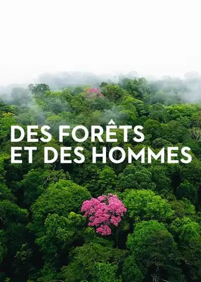 Watch and Download Forests and People 1