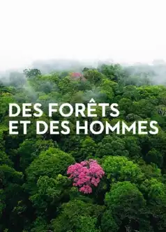 Watch and Download Forests and People