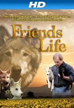 Watch and Download Friends for Life 1