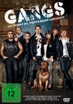 Watch and Download Gangs 2