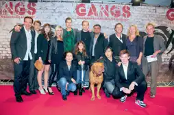 Watch and Download Gangs 3