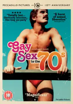 Watch and Download Gay Sex in the 70s 2