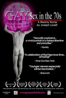 Watch and Download Gay Sex in the 70s 3