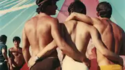 Watch and Download Gay Sex in the 70s 5