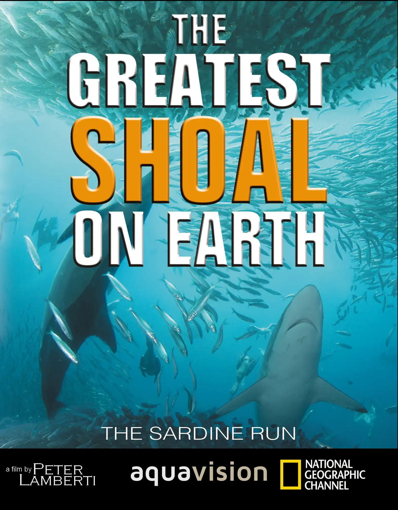 Watch and Download Greatest Shoal on Earth 2