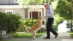 Watch and Download Hachi: A Dog's Tale 1