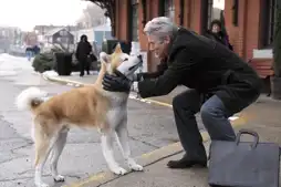 Watch and Download Hachi: A Dog's Tale 13