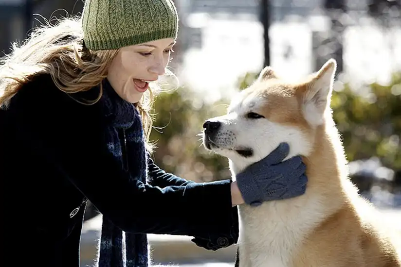 Watch and Download Hachi: A Dog's Tale 16