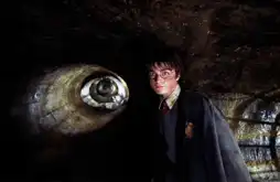 Watch and Download Harry Potter and the Chamber of Secrets 12