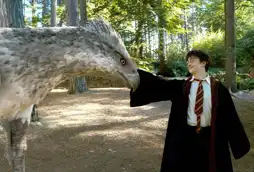 Watch and Download Harry Potter and the Prisoner of Azkaban 8