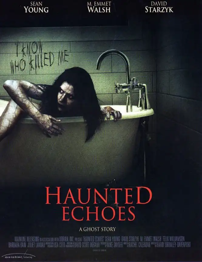 Watch and Download Haunted Echoes 4