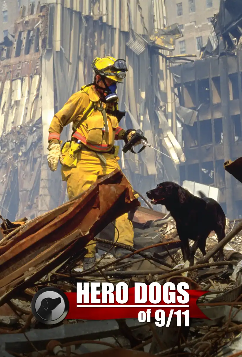 Watch and Download Hero Dogs Of 9/11 1