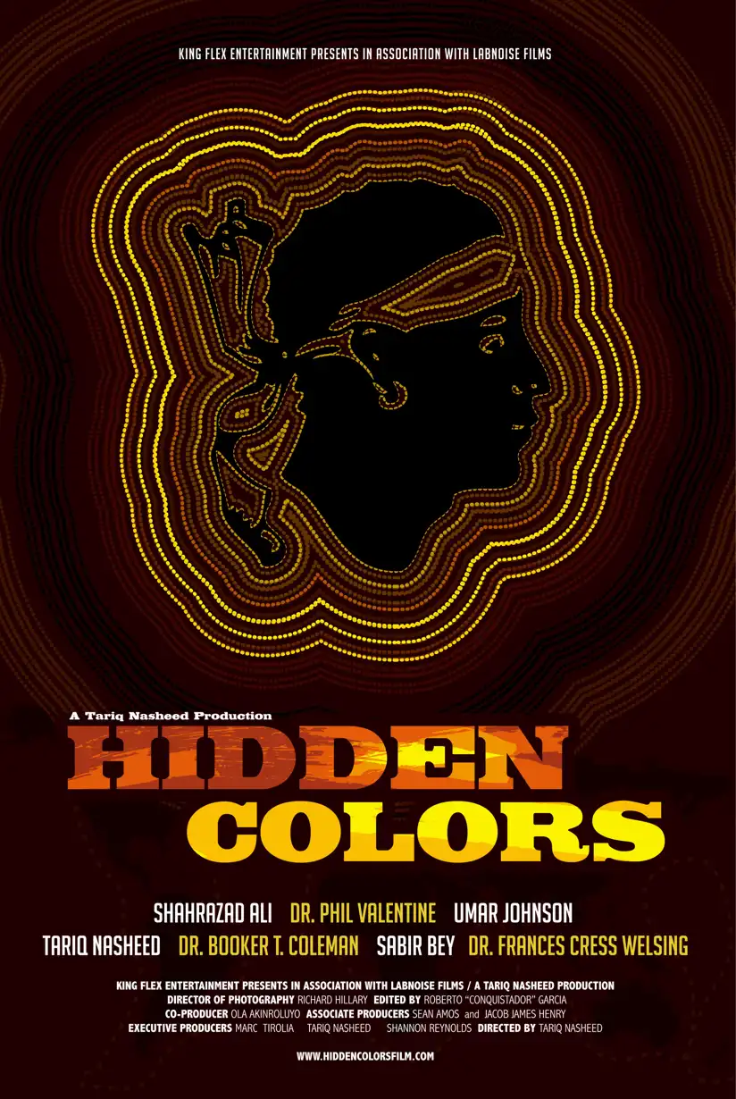 Watch and Download Hidden Colors 1