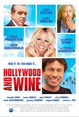 Watch and Download Hollywood & Wine 2