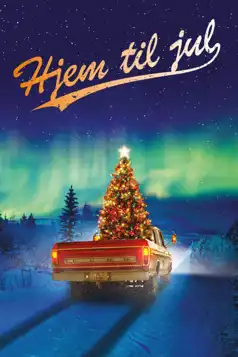 Watch and Download Home for Christmas