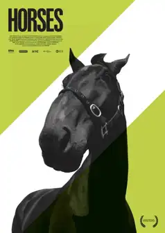 Watch and Download Horses