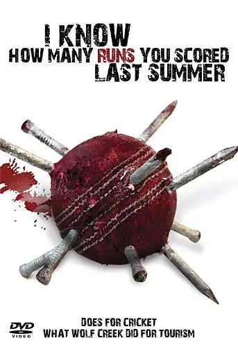 Watch and Download I Know How Many Runs You Scored Last Summer 4