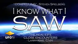 Watch and Download I Know What I Saw 1