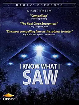 Watch and Download I Know What I Saw 2