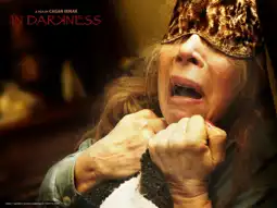 Watch and Download In Darkness 1