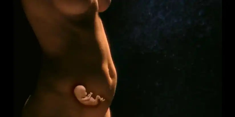 Watch and Download In The Womb 4