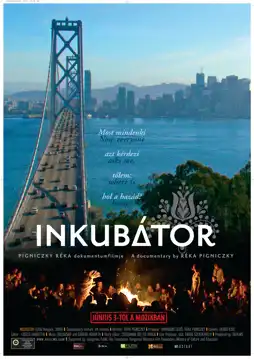 Watch and Download Incubator 6