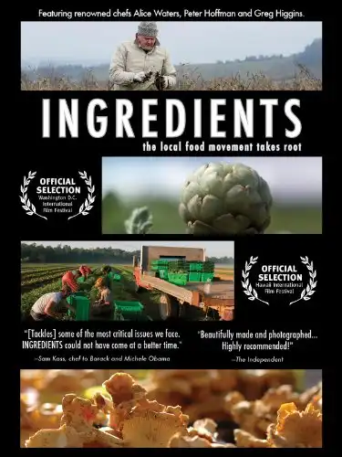 Watch and Download Ingredients 1