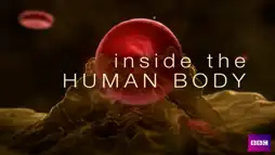 Watch and Download Inside the Human Body 1