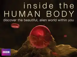 Watch and Download Inside the Human Body 6