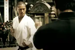 Watch and Download Ip Man 6