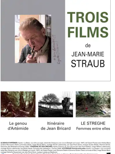 Watch and Download Itinerary of Jean Bricard 1