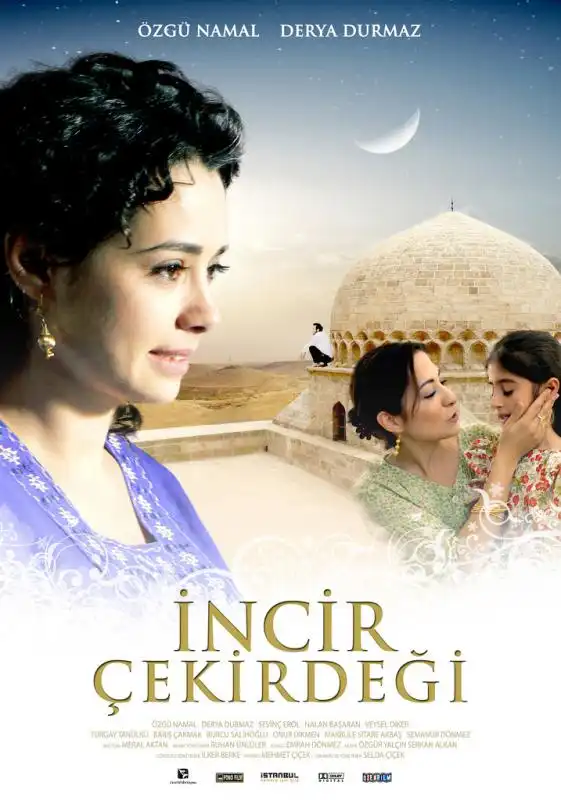 Watch and Download İncir Çekirdeği 1