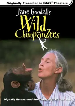 Watch and Download Jane Goodall's Wild Chimpanzees 1