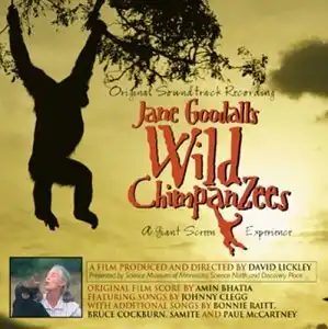 Watch and Download Jane Goodall's Wild Chimpanzees 5