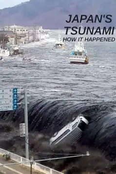 Watch and Download Japan’s Tsunami: How It Happened