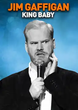 Watch and Download Jim Gaffigan: King Baby 6