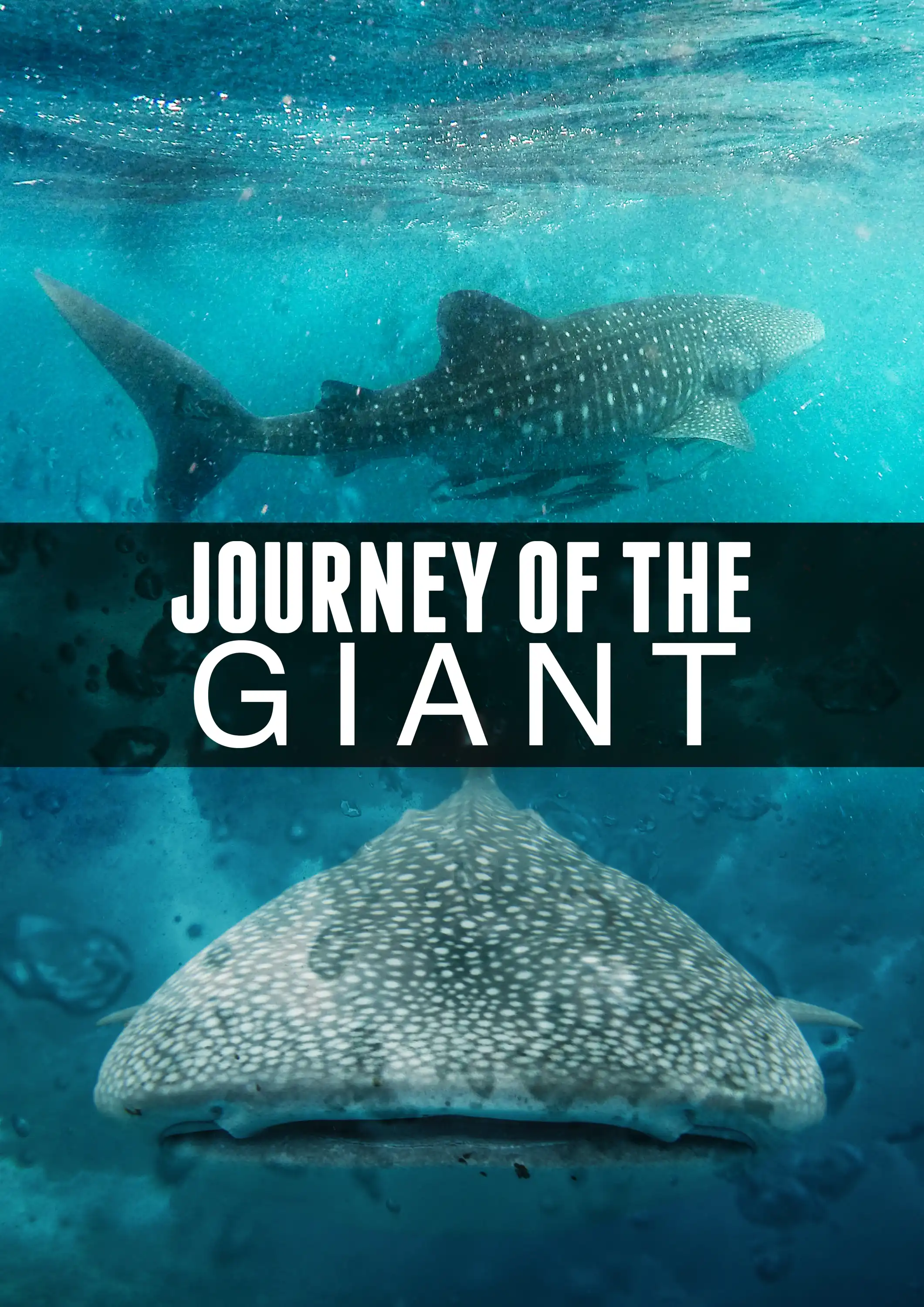 Watch and Download Journey of the Giant 3