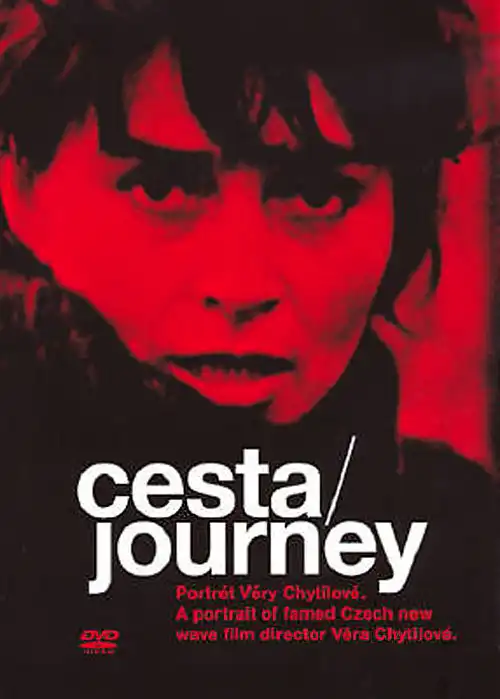 Watch and Download Journey: Portrait of Věra Chytilová 1